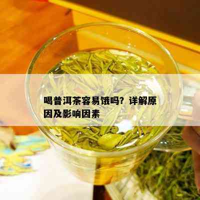 喝普洱茶容易饿吗？详解原因及影响因素