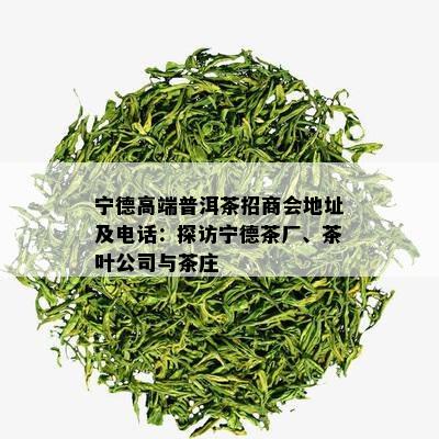 宁德高端普洱茶招商会地址及电话：探访宁德茶厂、茶叶公司与茶庄