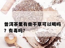 普洱茶里有些干草可以喝吗？有吗？