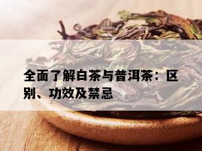 全面了解白茶与普洱茶：区别、功效及禁忌
