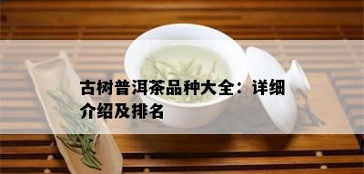 古树普洱茶品种大全：详细介绍及排名