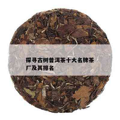 探寻古树普洱茶十大名牌茶厂及其排名