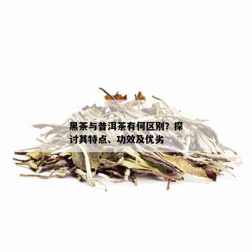 黑茶与普洱茶有何区别？探讨其特点、功效及优劣