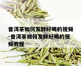 普洱茶如何发酵好喝的视频-普洱茶如何发酵好喝的视频教程