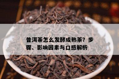 普洱茶怎么发酵成熟茶？步骤、影响因素与口感解析