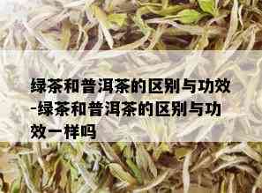 绿茶和普洱茶的区别与功效-绿茶和普洱茶的区别与功效一样吗