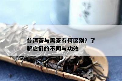 普洱茶与黑茶有何区别？了解它们的不同与功效