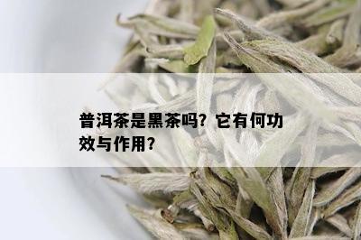 普洱茶是黑茶吗？它有何功效与作用？