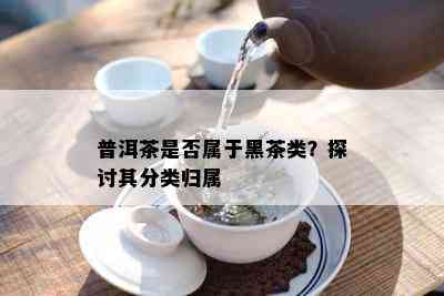 普洱茶是否属于黑茶类？探讨其分类归属