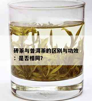 砖茶与普洱茶的区别与功效：是否相同？