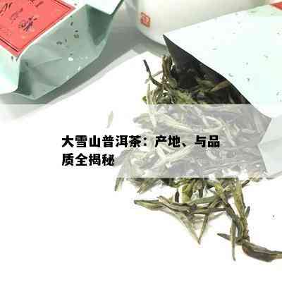 大雪山普洱茶：产地、与品质全揭秘