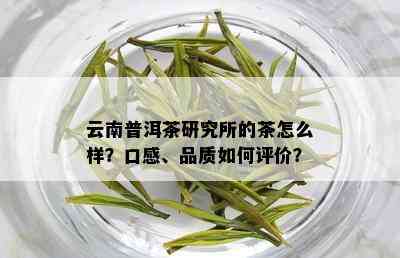 云南普洱茶研究所的茶怎么样？口感、品质如何评价？