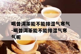 喝普洱茶能不能排湿气寒气-喝普洱茶能不能排湿气寒气呢