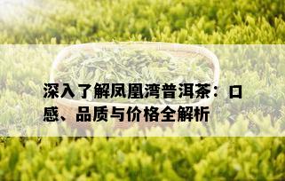 深入了解凤凰湾普洱茶：口感、品质与价格全解析