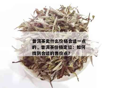 普洱茶卖什么价格合适一点的，普洱茶价格定位：如何找到合适的售价点？