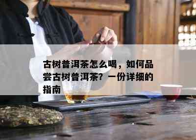 古树普洱茶怎么喝，如何品尝古树普洱茶？一份详细的指南