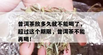 普洱茶放多久就不能喝了，超过这个期限，普洱茶不能再喝！