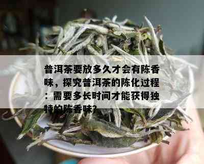普洱茶要放多久才会有陈香味，探究普洱茶的陈化过程：需要多长时间才能获得独特的陈香味？