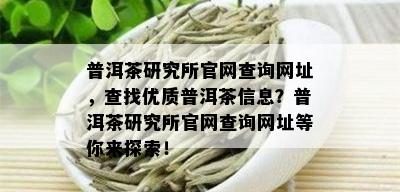 普洱茶研究所官网查询网址，查找优质普洱茶信息？普洱茶研究所官网查询网址等你来探索！