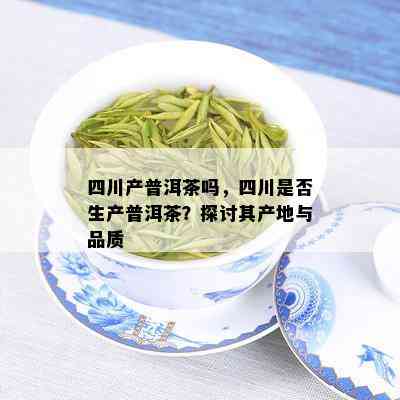 四川产普洱茶吗，四川是否生产普洱茶？探讨其产地与品质