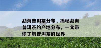 勐海普洱茶分布，揭秘勐海普洱茶的产地分布，一文带你了解普洱茶的世界