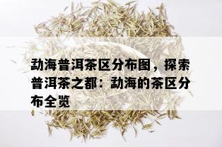 勐海普洱茶区分布图，探索普洱茶之都：勐海的茶区分布全览