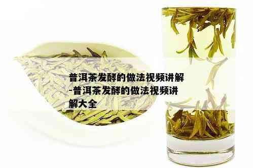 普洱茶发酵的做法视频讲解-普洱茶发酵的做法视频讲解大全