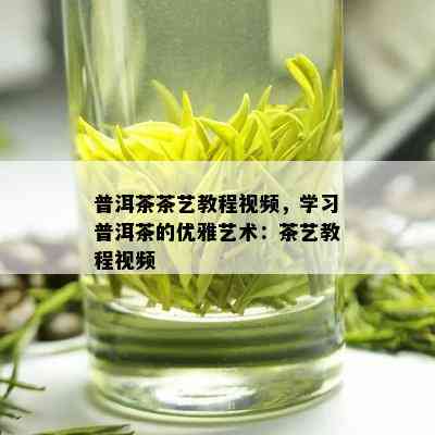 普洱茶茶艺教程视频，学习普洱茶的优雅艺术：茶艺教程视频