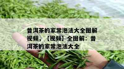 普洱茶的家常泡法大全图解视频，【视频】全图解：普洱茶的家常泡法大全