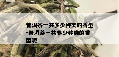 普洱茶一共多少种类的香型-普洱茶一共多少种类的香型呢