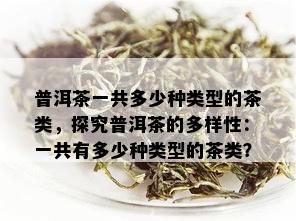 普洱茶一共多少种类型的茶类，探究普洱茶的多样性：一共有多少种类型的茶类？