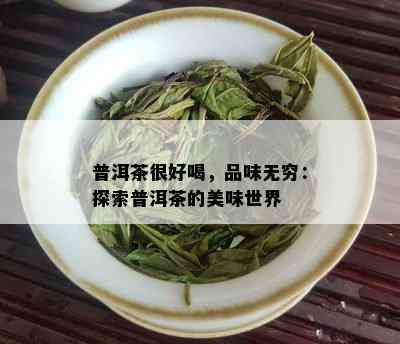 普洱茶很好喝，品味无穷：探索普洱茶的美味世界