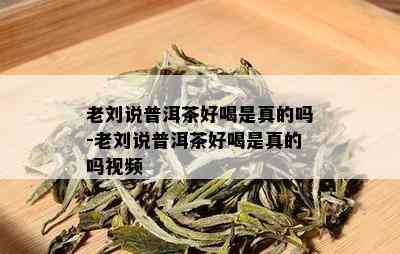 老刘说普洱茶好喝是真的吗-老刘说普洱茶好喝是真的吗视频