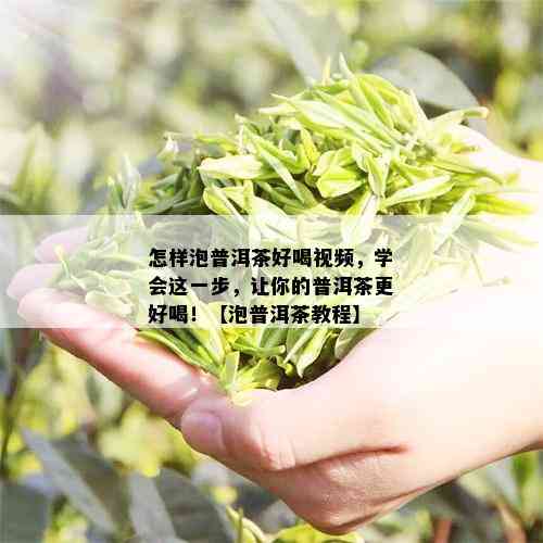 怎样泡普洱茶好喝视频，学会这一步，让你的普洱茶更好喝！【泡普洱茶教程】