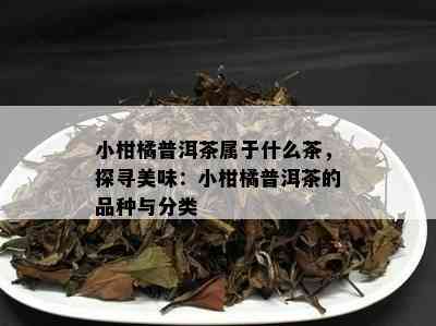 小柑橘普洱茶属于什么茶，探寻美味：小柑橘普洱茶的品种与分类