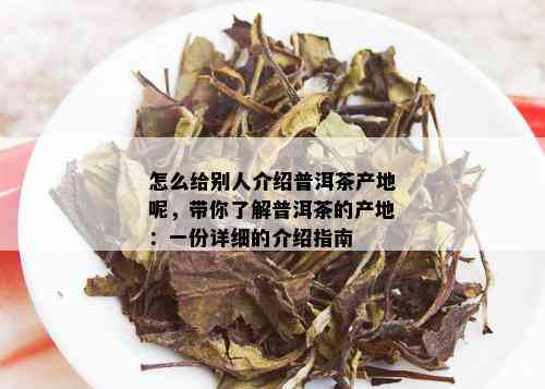 怎么给别人介绍普洱茶产地呢，带你了解普洱茶的产地：一份详细的介绍指南