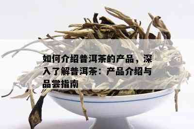 如何介绍普洱茶的产品，深入了解普洱茶：产品介绍与品尝指南