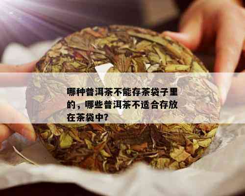 哪种普洱茶不能存茶袋子里的，哪些普洱茶不适合存放在茶袋中？