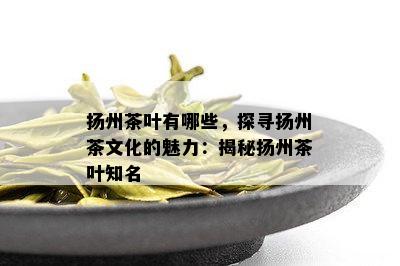 扬州茶叶有哪些，探寻扬州茶文化的魅力：揭秘扬州茶叶知名