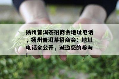 扬州普洱茶招商会地址电话，扬州普洱茶招商会：地址电话全公开，诚邀您的参与！