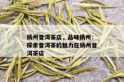 扬州普洱茶店，品味扬州：探索普洱茶的魅力在扬州普洱茶店