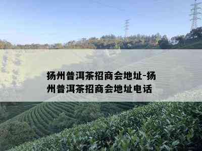 扬州普洱茶招商会地址-扬州普洱茶招商会地址电话