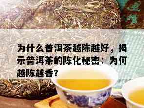 为什么普洱茶越陈越好，揭示普洱茶的陈化秘密：为何越陈越香？