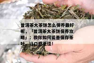 普洱茶大茶饼怎么保养更好呢，「普洱茶大茶饼保养攻略」：教你如何妥善保存茶叶，让口感更佳！