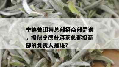 宁德普洱茶总部招商部是谁，揭秘宁德普洱茶总部招商部的负责人是谁？