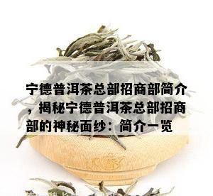 宁德普洱茶总部招商部简介，揭秘宁德普洱茶总部招商部的神秘面纱：简介一览