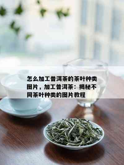 怎么加工普洱茶的茶叶种类图片，加工普洱茶：揭秘不同茶叶种类的图片教程