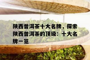 陕西普洱茶十大名牌，探索陕西普洱茶的顶级：十大名牌一览