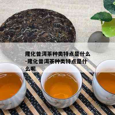 隆化普洱茶种类特点是什么-隆化普洱茶种类特点是什么呢