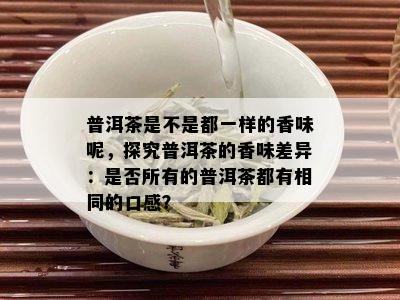 普洱茶是不是都一样的香味呢，探究普洱茶的香味差异：是否所有的普洱茶都有相同的口感？